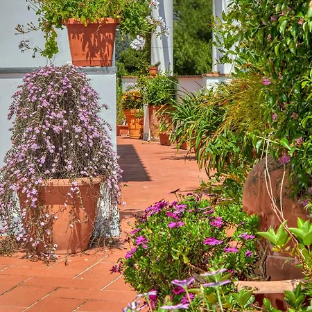 Acquaviva 31 Bed & Breakfast *