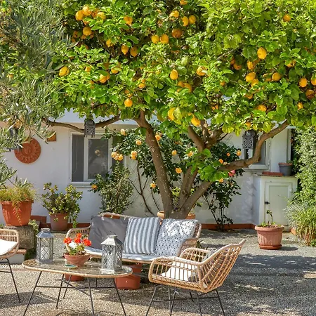 Bed & Breakfast Acquaviva 31 *